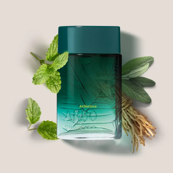 Arbo Atlântica Desodorante Colônia 100ml - Imagem 3