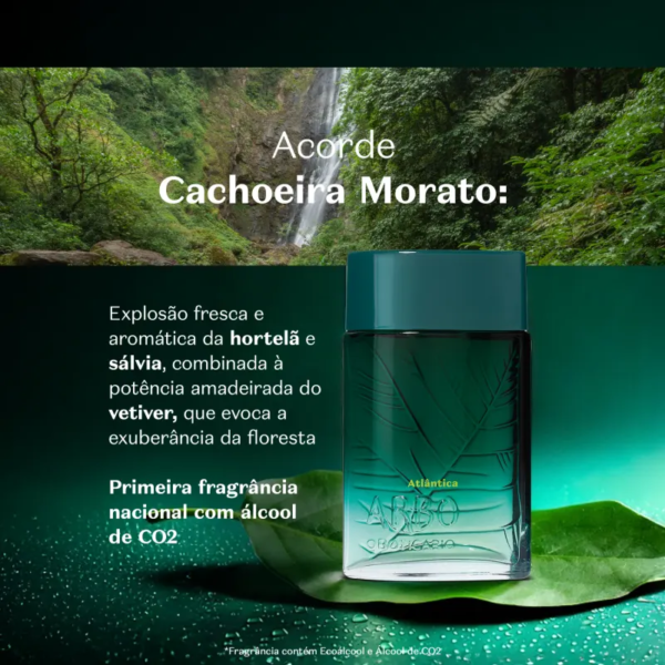 Arbo Atlântica Desodorante Colônia 100ml - Imagem 7