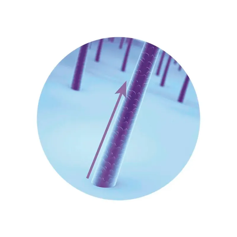 Combo Siàge Acelera o Crescimento: Shampoo 250ml + Condicionador 200ml - Imagem 2